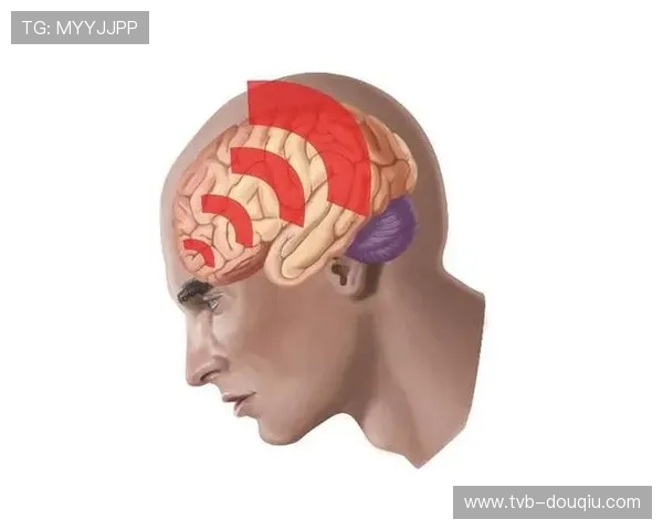 神经科专家解析扇耳光比赛视频 揭示参与者脑健康面临高风险